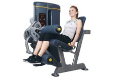 Сгибание, Разгибание ног Kraft Fitness KFWLCE