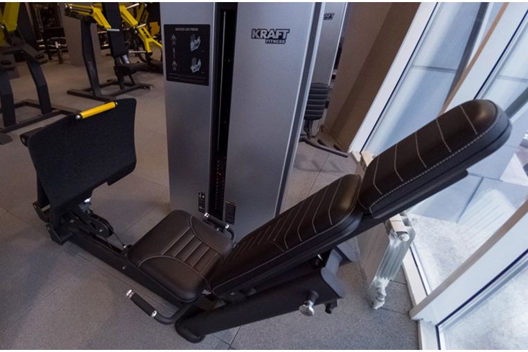 Жим ногами сидя/Икроножные сидя Kraft Fitness EXACT KFDXLPC фото 2