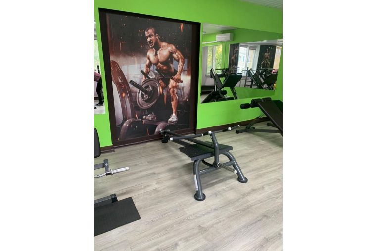 Т-образная тяга Fitex Pro FTX-6236 фото 2