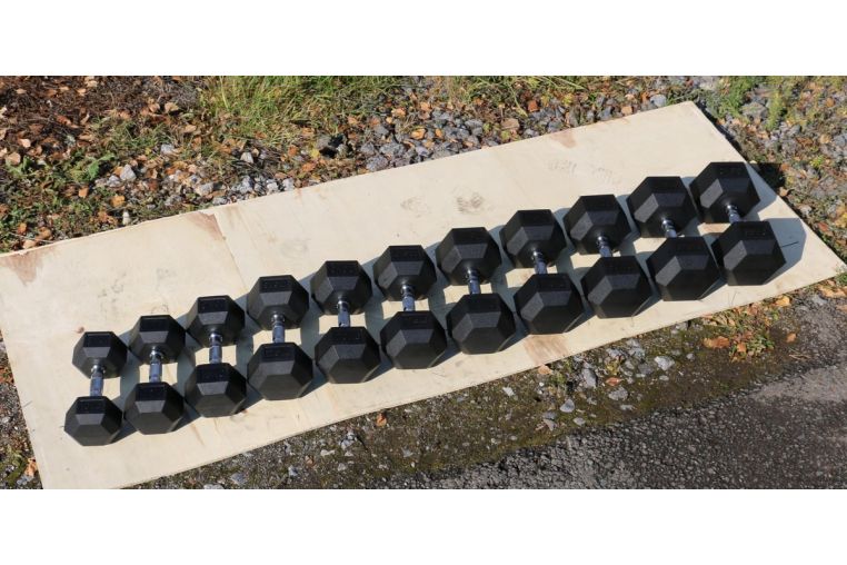 Гантель гексагональная обрезиненная Profi-Fit 6 кг фото 1