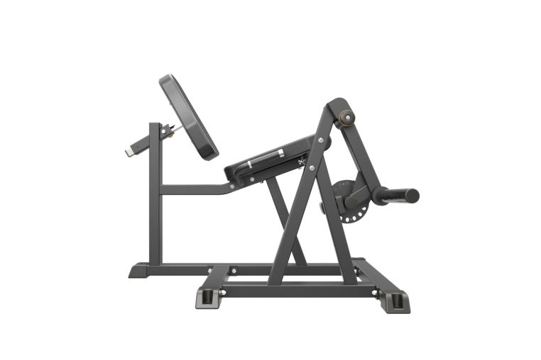 Разгибание ног сидя Impulse IFP1605 фото 1