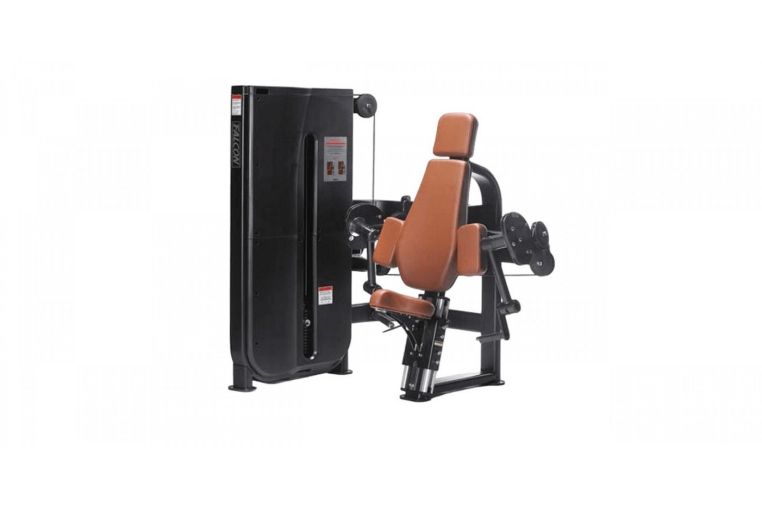 Бицепс-машина UltraGym LS-107 