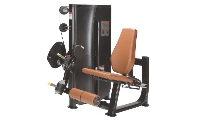 Разгибание ног UltraGym LS-115 