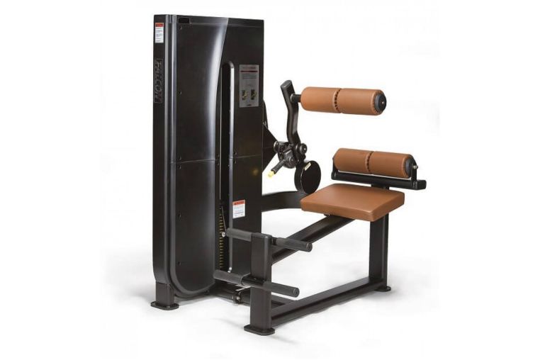 Разгибание спины UltraGym LS-122 