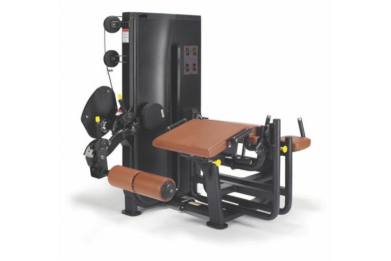 Разгибание ног\Сгибание ног лежа UltraGym LS-703 