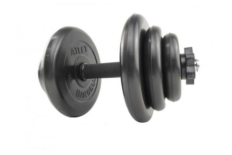 Гантель разборная 19кг MB Barbell Атлет ГА-19 фото 1