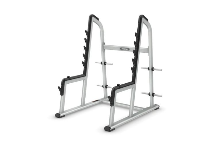 Стойка для приседаний PRECOR Discovery Line DBR 608 глянцевый серебряный белый 
