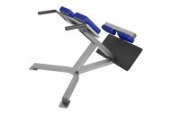 Гиперэкстензия FOREMAN FW-308 черный/черный