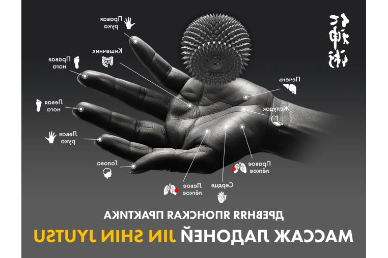 Массажное кресло Fujimo GURU2 F800 Серый фото 7
