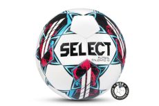 Футзальный мяч Select Futsal Talento 13 v22, р.3 1062460002