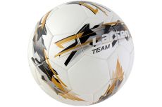 Мяч футбольный Larsen Team р.5