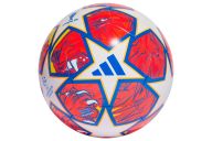 Мяч футбольный Adidas UCL Training IN9332 р.4