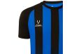 Футболка игровая Jogel Camp Striped Jersey, синий/черный фото 1