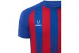 Футболка игровая Jogel Camp Striped Jersey, красный/синий фото 1