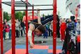 Мобильный комплекс для Воркаут Stecter Стандарт-4 5113 фото 3