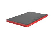 Мат 200x100x20см тентовый ФСИ 2001 цветной