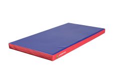 Мат 200x100x10см искусственная кожа ФСИ 2570 цветной