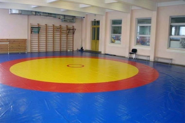 Ковер борцовский Atlet 12х12 м основа ППЭ (экв. ПВВ 200 кг/м3) толщина 4 см IMP-A465 