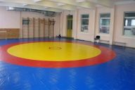 Ковер борцовский Atlet 12х12м основа ППЭ (экв. ПВВ 200 кг/м3) толщина 5 см IMP-A464