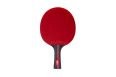 Ракетка для настольного тенниса Torres Sport 1* TT23005 фото 7
