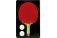 Ракетка для настольного тенниса Double Fish 6A+C, ITTF App+ 2 мяча V40+мм фото 6