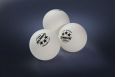 Мячи для настольного тенниса Gambler P40+ BALL - 6 PACK GP40B6 фото 1