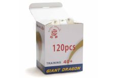 Мячи Giant Dragon Training Silver 1* New белый (120шт, в коробке)