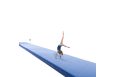 Дорожка акробатическая Moscow 12х2 м SPIETH Gymnastics 1790762 фото 9