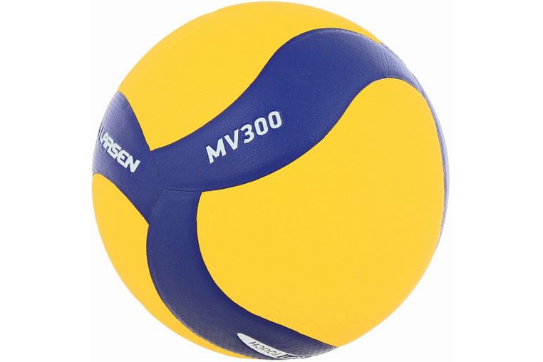 Мяч волейбольный Larsen MV300 р.5 