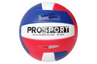 Мяч волейбольный Sportex E40006-1 р.5