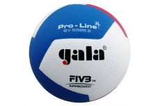Мяч волейбольный Gala Pro-Line 12 FIVB BV5595S р.5