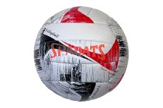 Мяч волейбольный Sportex E39980 р.5