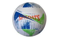 Мяч волейбольный Sportex E39981 р.5