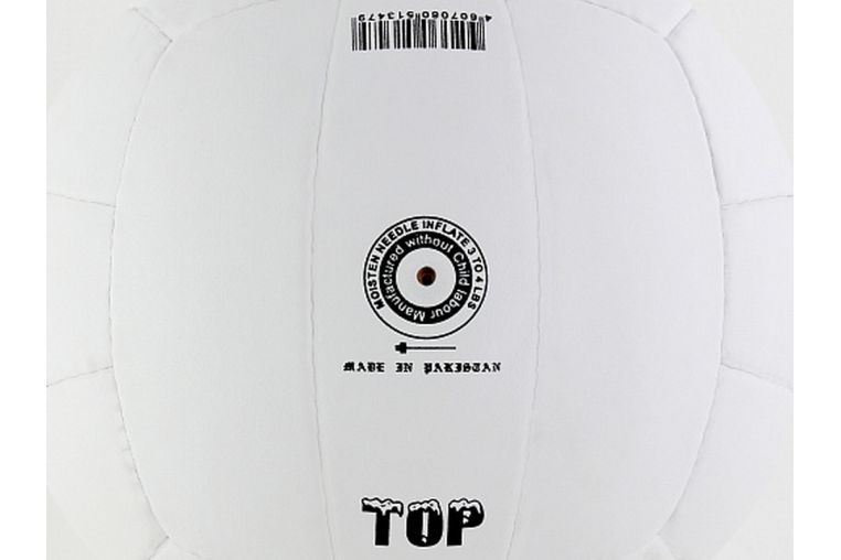 Мяч волейбольный Larsen Top р.5 фото 2