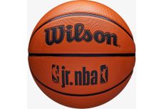 Мяч баскетбольный Wilson JR NBA DRV Fam Logo WZ3013001XB6 р.6