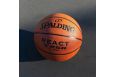 Мяч баскетбольный Spalding TF-250 React 76-803Z р.5 фото 2