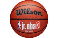 Мяч баскетбольный Wilson JR.NBA Fam Logo Indoor Outdoor WZ2009801XB7 р.7