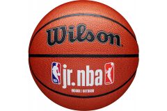 Мяч баскетбольный Wilson JR.NBA Fam Logo Indoor Outdoor WZ2009801XB7 р.7