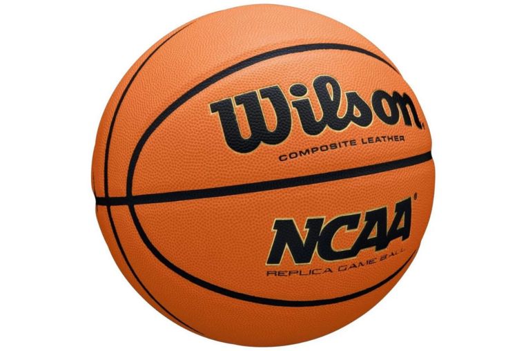 Мяч баскетбольный Wilson Evo Nxt Replica WZ2007701XB р.7 фото 1