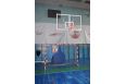 Стойка баскетбольная мобильная складная игровая Glav 01.117-1600 вынос 160 см фото 5