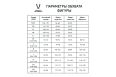 Футболка игровая Jogel DIVISION PerFormDRY Union Jersey, белый/белый фото 2