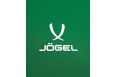 Футболка игровая Jogel DIVISION PerFormDRY Union Jersey, зеленый фото 3