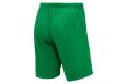 Шорты игровые Jogel DIVISION PerFormDRY Union Shorts, зеленый фото 10