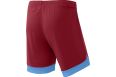 Шорты игровые Jogel DIVISION PerFormDRY Union Shorts, гранатовый-голубой-белый фото 6