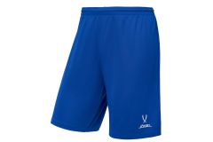 Шорты баскетбольные Jogel Camp Basic, синий