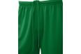 Шорты баскетбольные Jogel Camp Basic, зеленый, детский фото 1