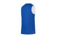 Майка двухсторонняя Jogel DIVISION PerFormDRY Double-Side RBF Jersey синий\белый фото 2