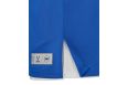 Майка двухсторонняя Jogel DIVISION PerFormDRY Double-Side RBF Jersey синий\белый фото 5
