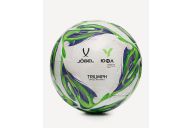 Мяч футбольный Jogel Triumph Elite YFL р.5