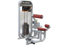 Пресс/разгибание спины Impulse PL9024